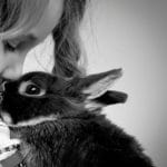 young girl holding rabbit portrait studio photography warrington