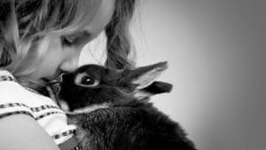 young girl holding rabbit portrait studio photography warrington