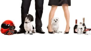 pet and couple photography legs champagne heels love romance portrait wilmslow wigan