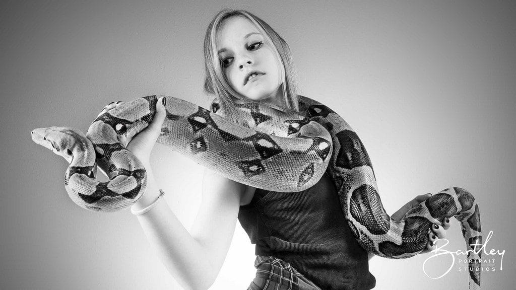 boa constrictor snake portrait studio photography
