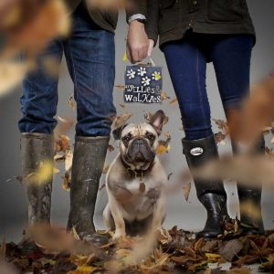 french bulldog with owners legs wellies in leaves wind swept natural autumnal studio portrait shoot