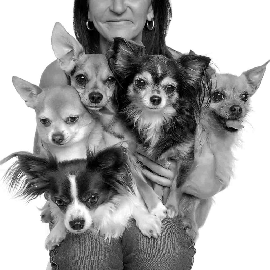 woman with five dogs studio portrait black and white small dog photo