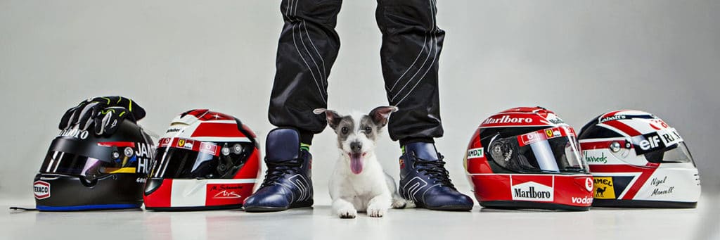 dog motorbike helmet boots legs studio shoto shoot biking theme biker