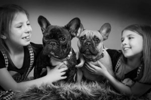 French Bulldog Portrait Photographer Bartley Studios