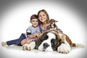 portrait of two children with a st bernard and a chihuahua Bartley Studios experience warrington liverpool manchester cheshire