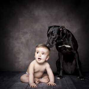 photoshoot of a baby boy with his dog bartley studios warrington cheshire