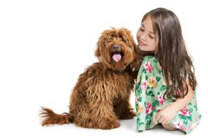 image of girl with her cockerpoo family photoshoot cheshire warrington liverpool